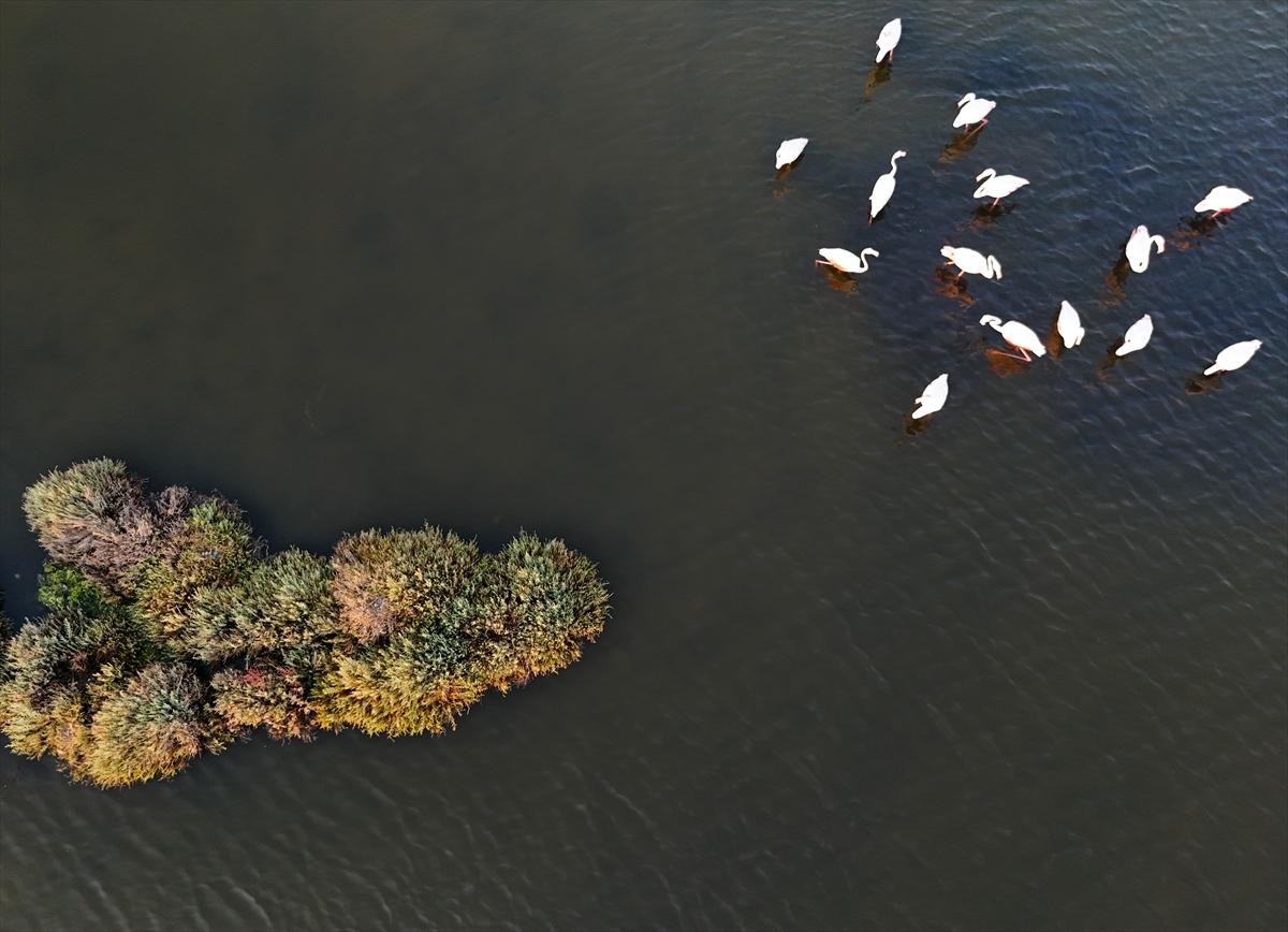 İzmir'in keşfedilmemiş güzelliği: Çakalburnu Lagünü