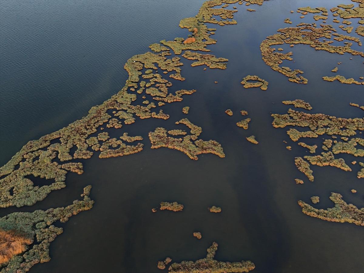 İzmir'in keşfedilmemiş güzelliği: Çakalburnu Lagünü