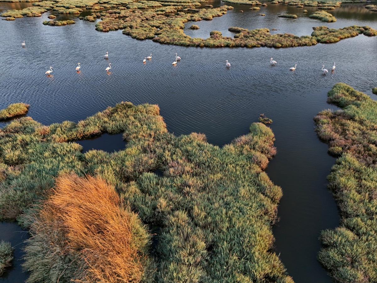 İzmir'in keşfedilmemiş güzelliği: Çakalburnu Lagünü