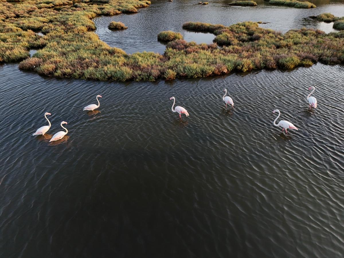 İzmir'in keşfedilmemiş güzelliği: Çakalburnu Lagünü