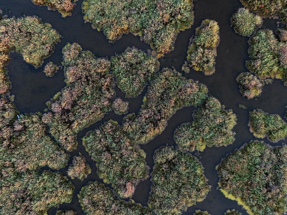 İzmir'in keşfedilmemiş güzelliği: Çakalburnu Lagünü
