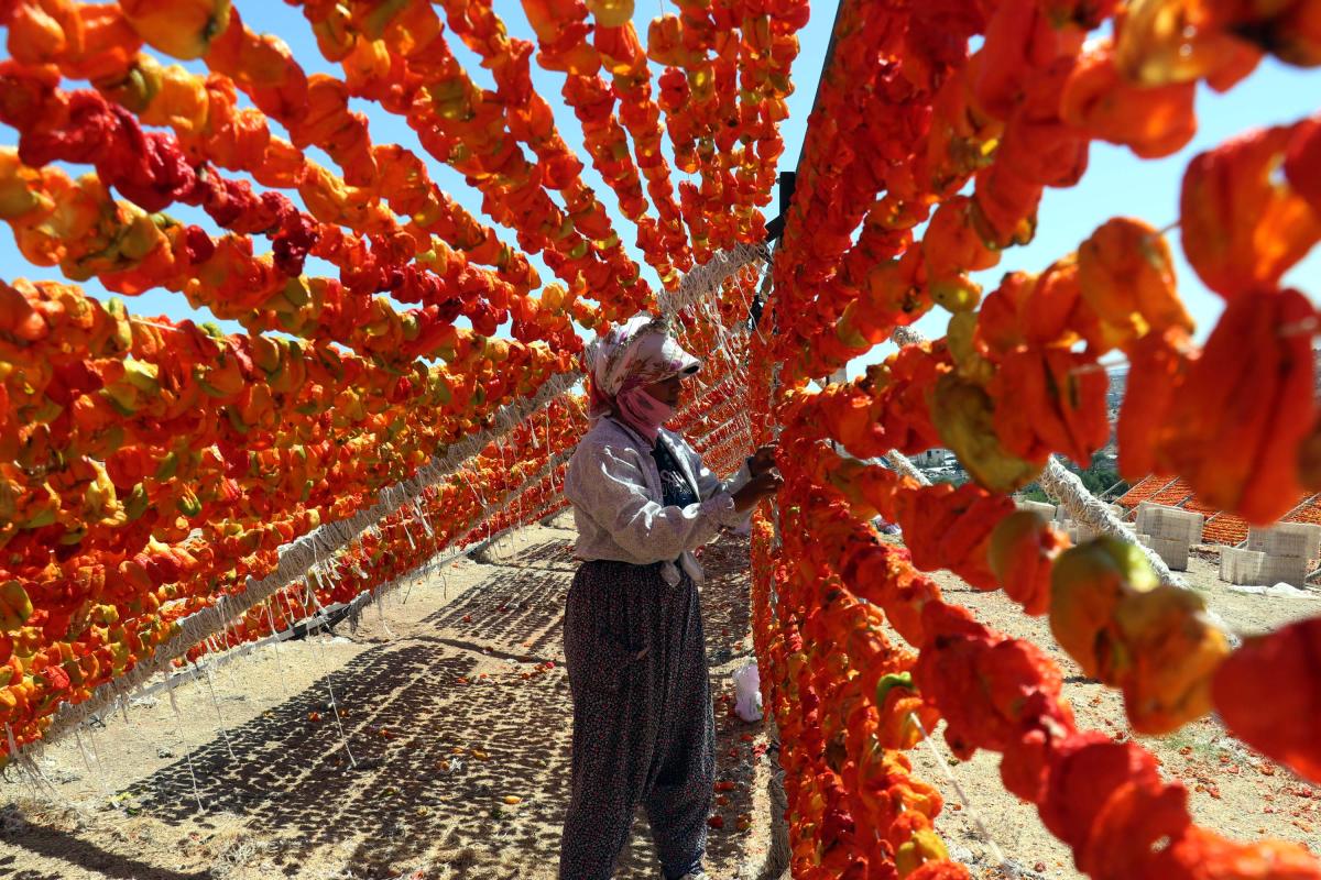 Gaziantep'te kurutma sezonu