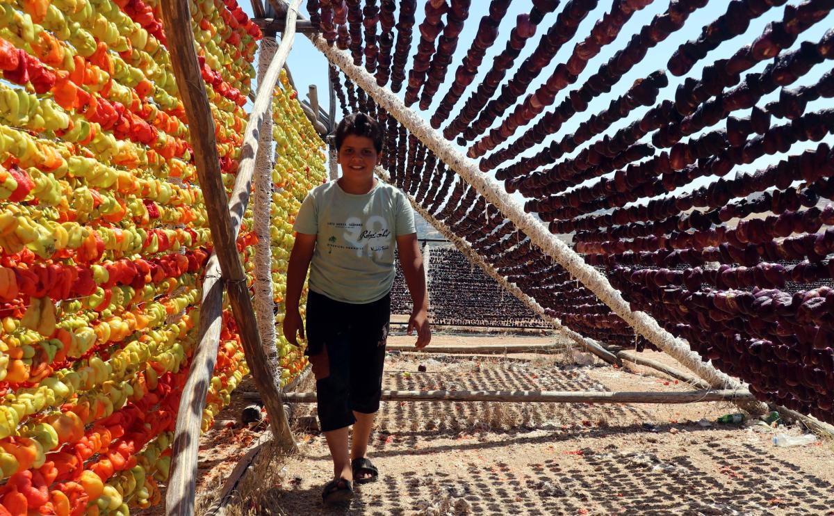 Gaziantep'te kurutma sezonu