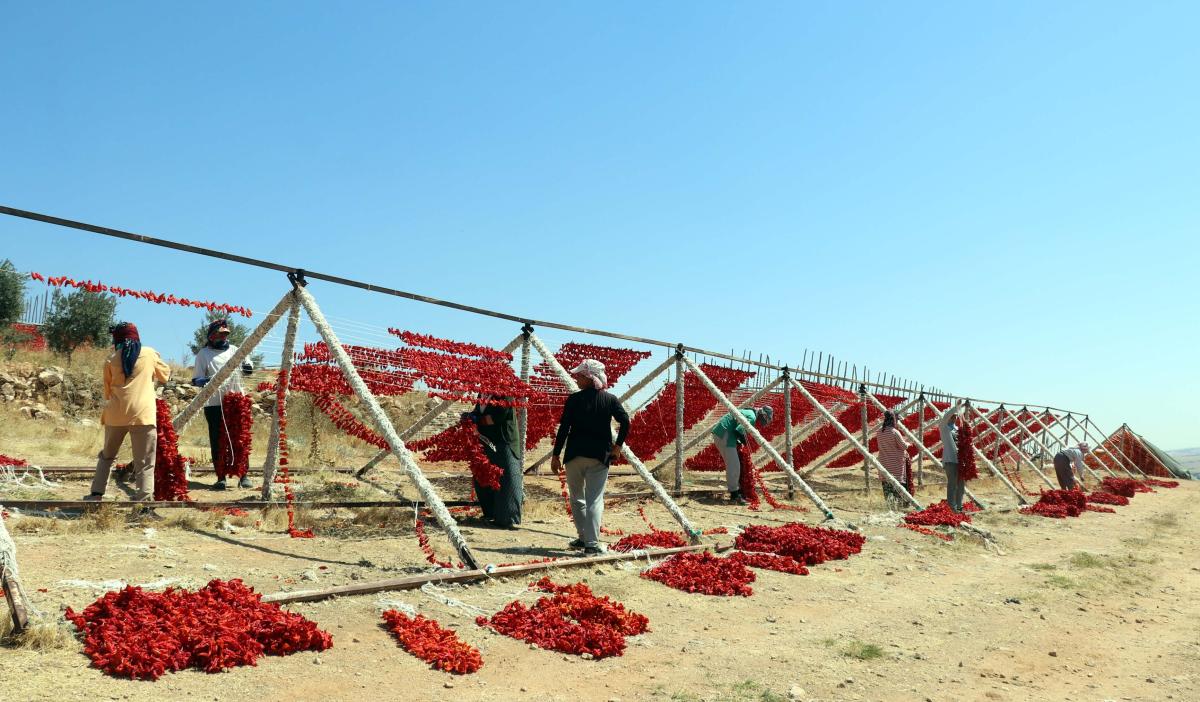 Gaziantep'te kurutma sezonu