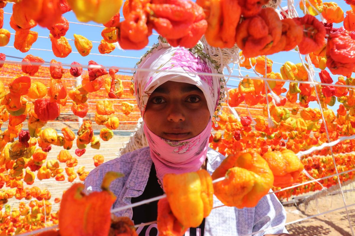 Gaziantep'te kurutma sezonu