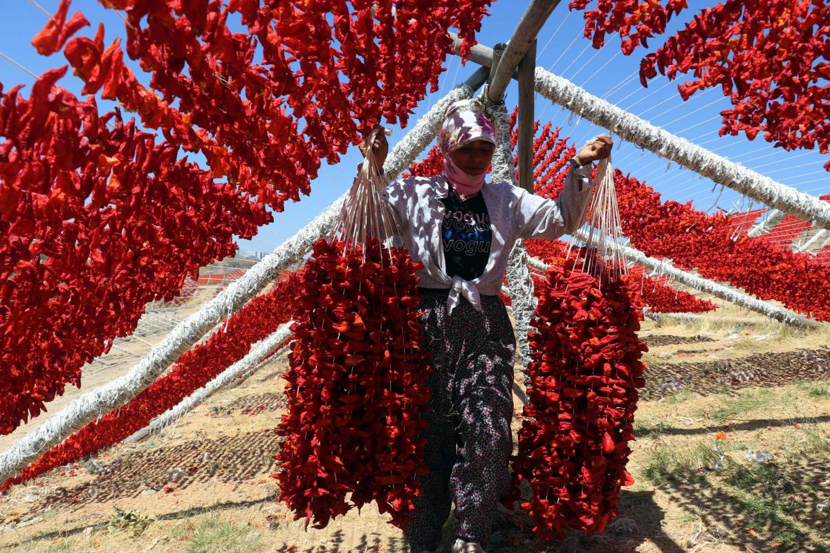Gaziantep'te kurutma sezonu
