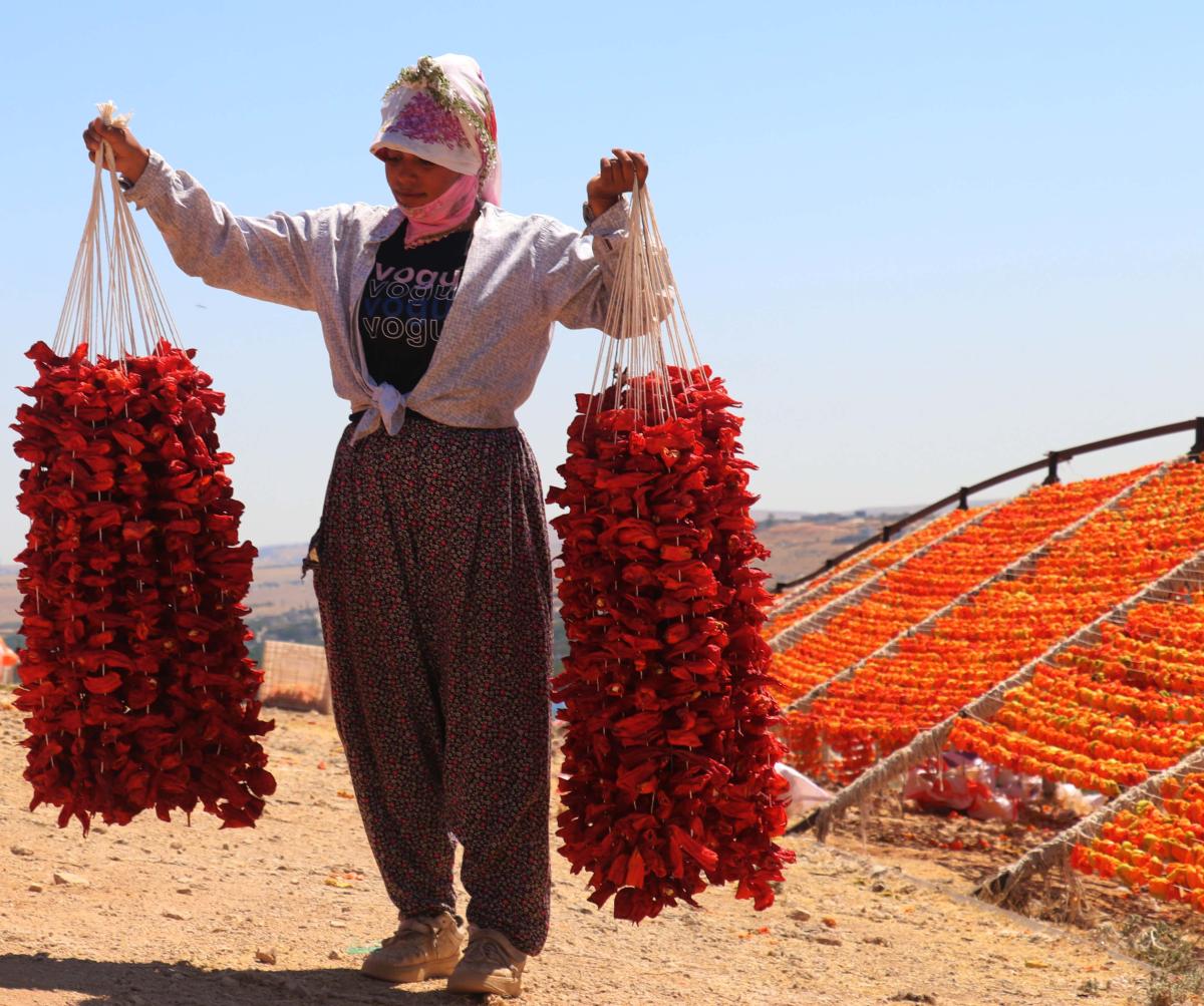 Gaziantep'te kurutma sezonu