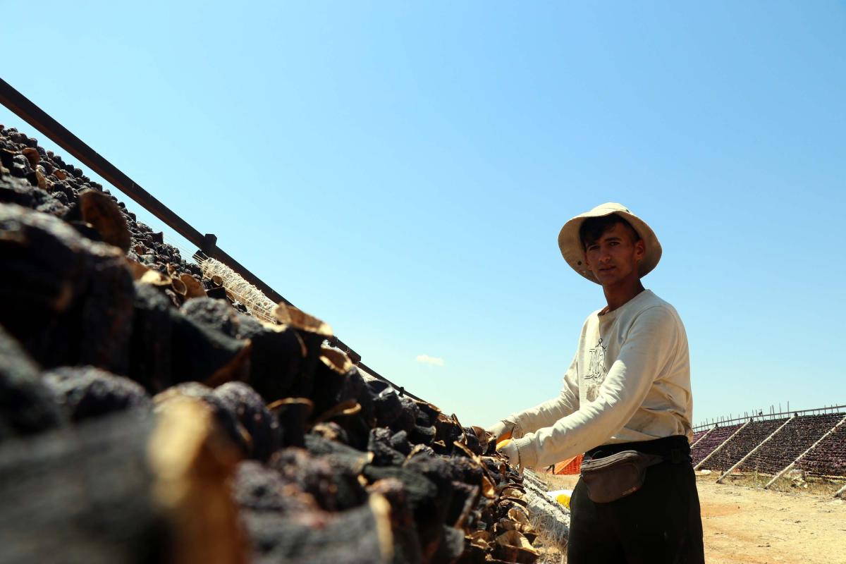 Gaziantep'te kurutma sezonu