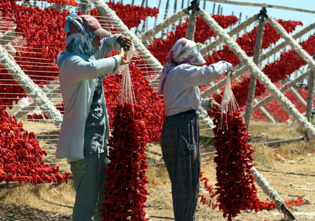 Gaziantep'te kurutma sezonu