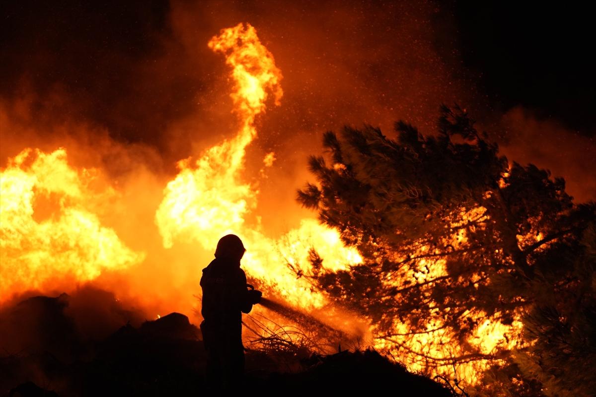 İzmir, Urla'da çıkan yangın kontrol altına alındı