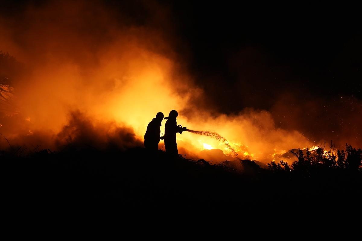 İzmir, Urla'da çıkan yangın kontrol altına alındı