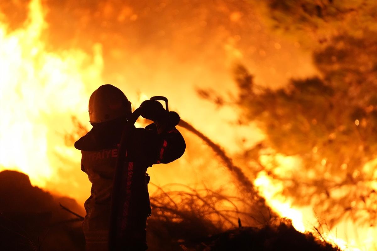 İzmir, Urla'da çıkan yangın kontrol altına alındı