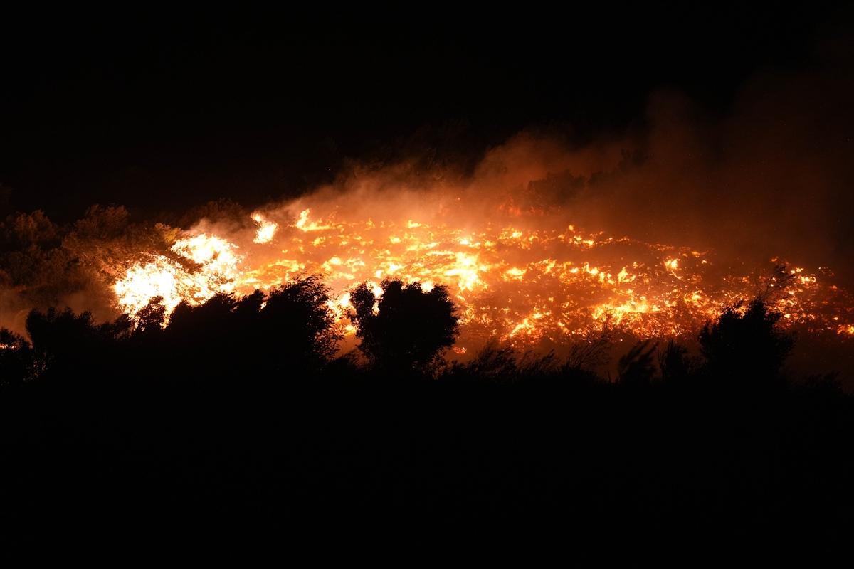 İzmir, Urla'da çıkan yangın kontrol altına alındı