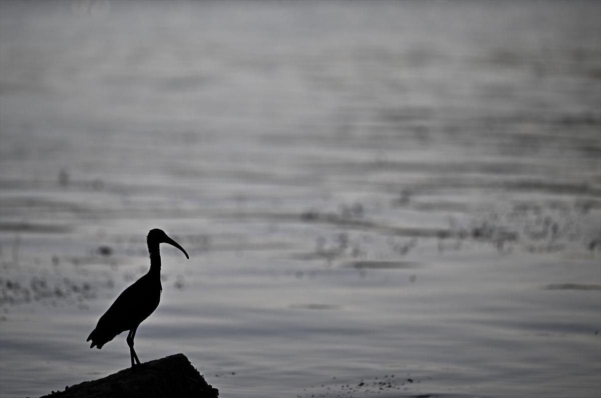 Bursa’nın yaşayan antik kenti: Gölyazı
