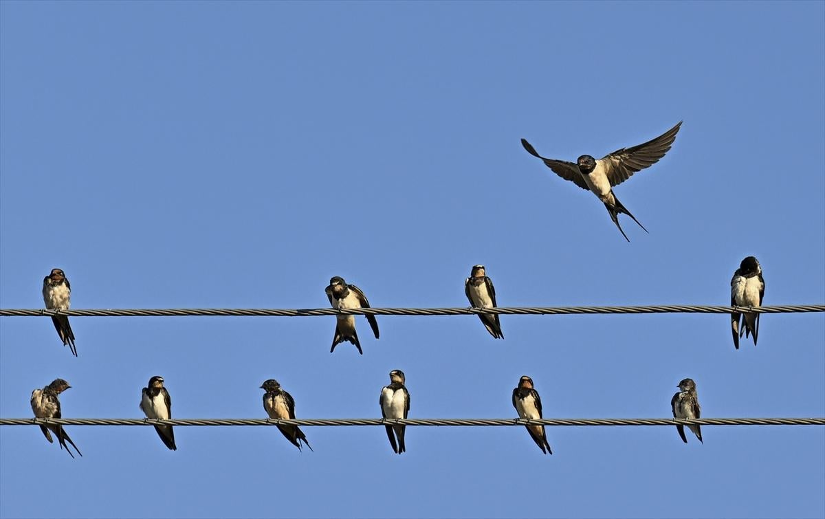 Bursa’nın yaşayan antik kenti: Gölyazı