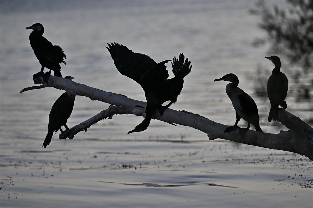 Bursa’nın yaşayan antik kenti: Gölyazı