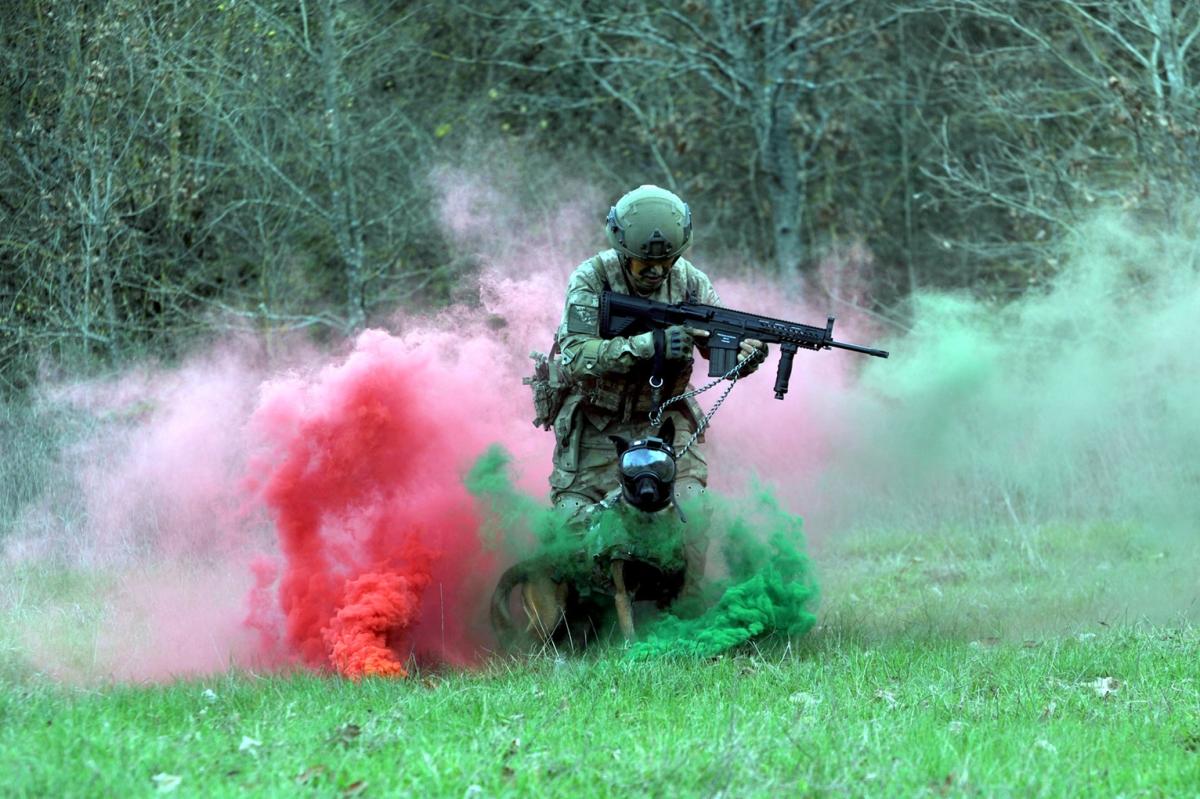 TSK'nın askeri köpekleri için yeni bir sistem geliştirildi