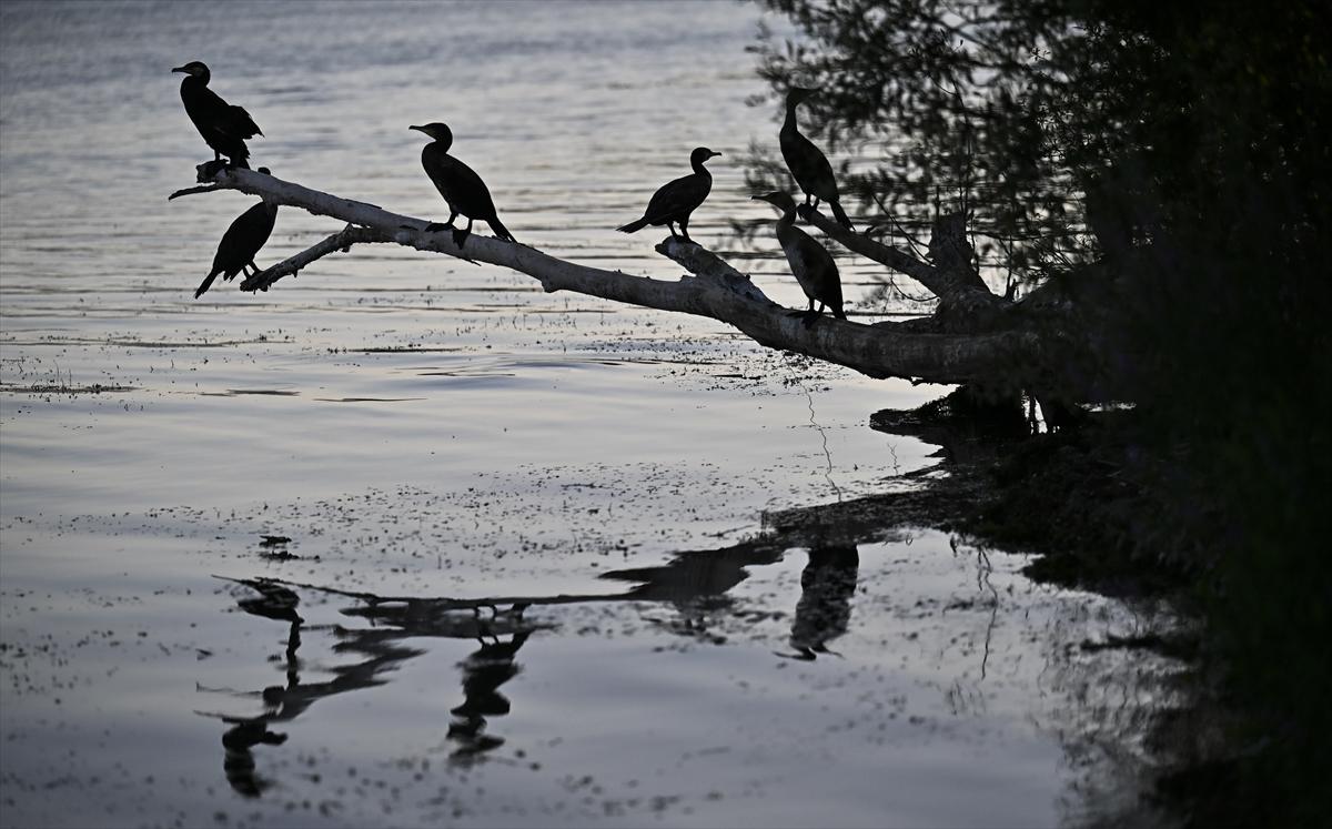 Bursa’nın yaşayan antik kenti: Gölyazı
