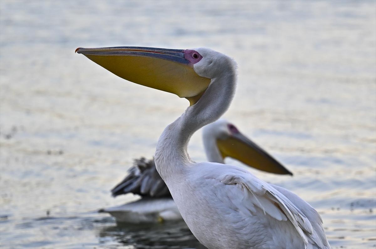 Bursa’nın yaşayan antik kenti: Gölyazı