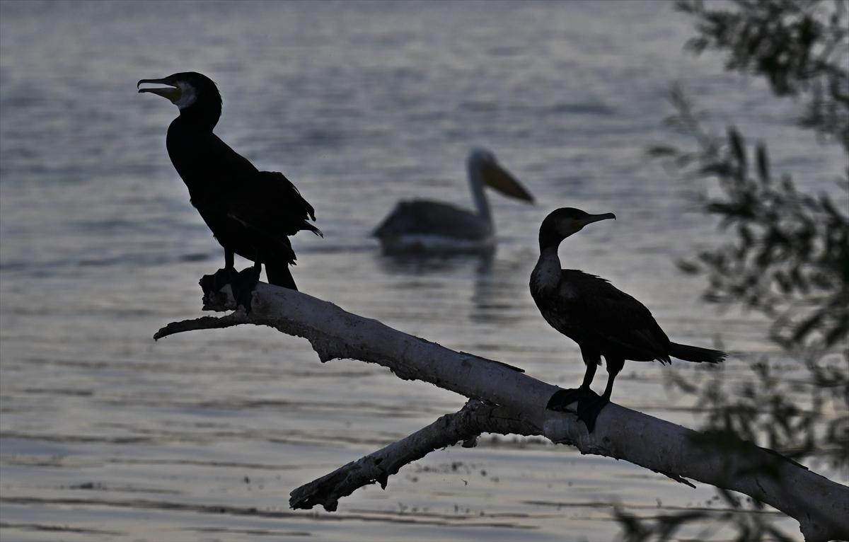 Bursa’nın yaşayan antik kenti: Gölyazı