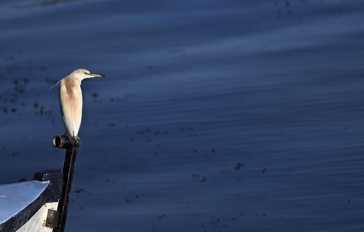 Bursa’nın yaşayan antik kenti: Gölyazı