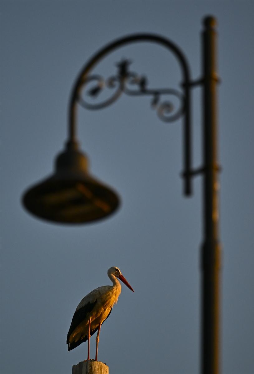 Bursa’nın yaşayan antik kenti: Gölyazı