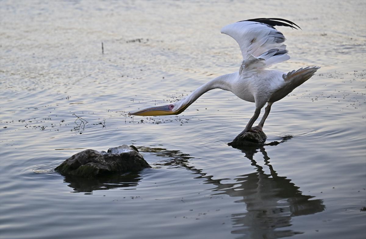 Bursa’nın yaşayan antik kenti: Gölyazı