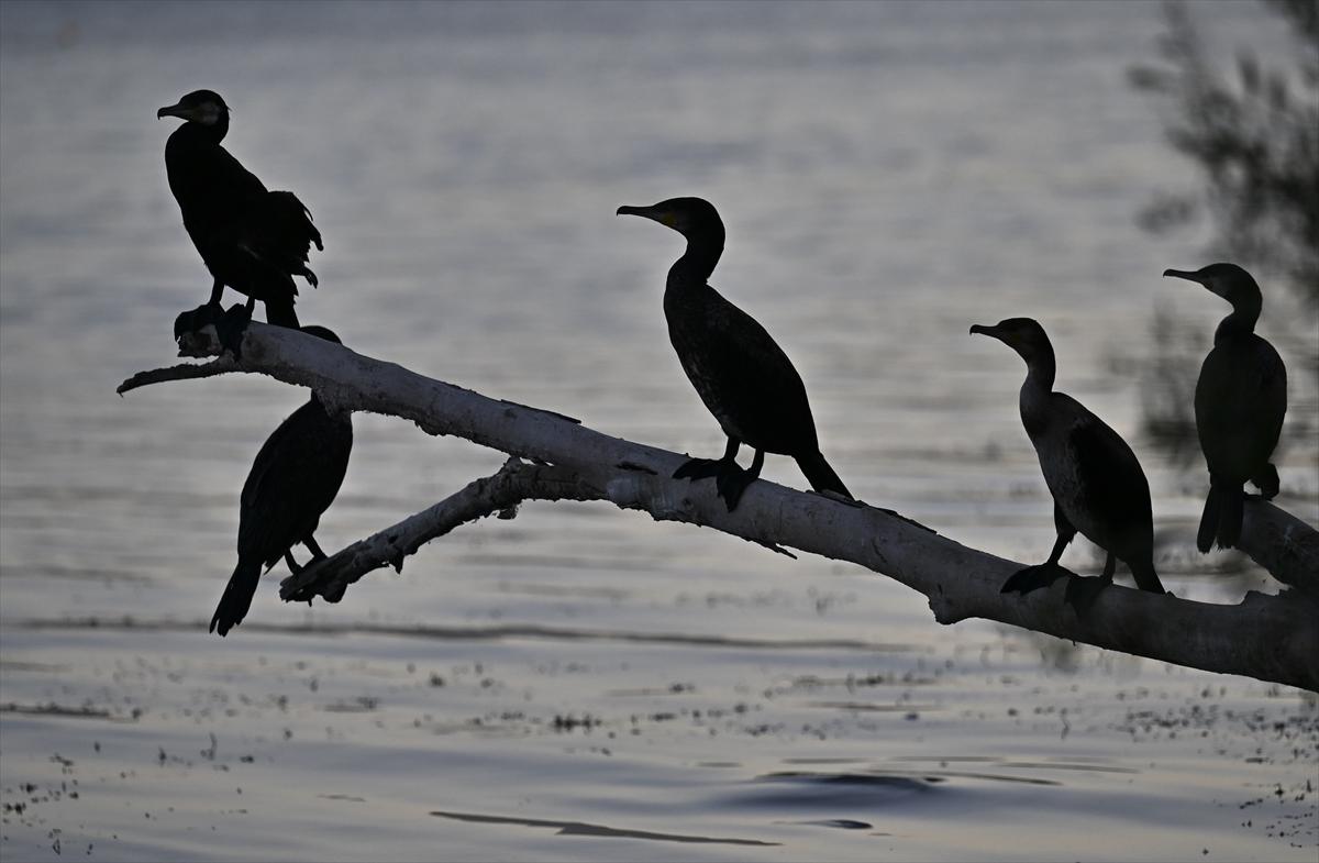 Bursa’nın yaşayan antik kenti: Gölyazı