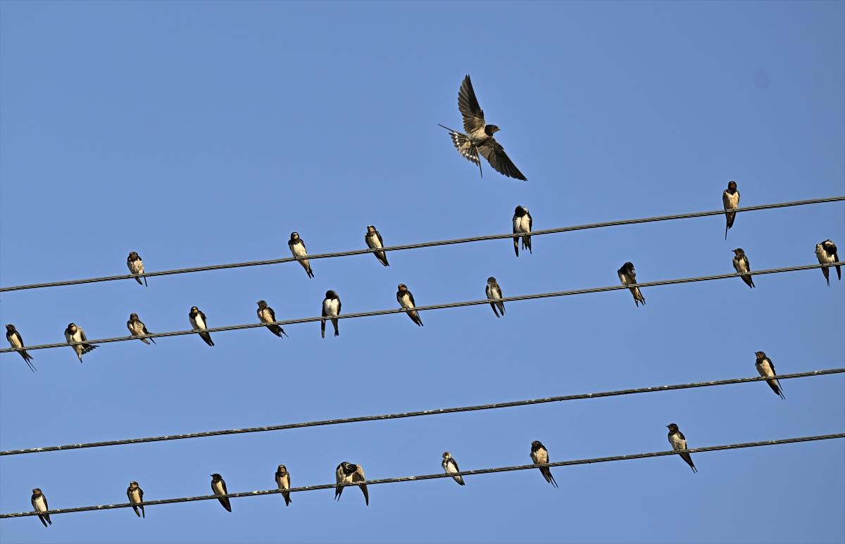 Bursa’nın yaşayan antik kenti: Gölyazı