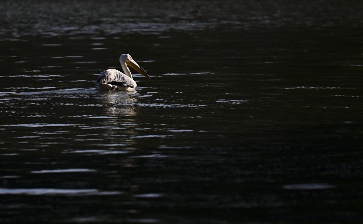 Bursa’nın yaşayan antik kenti: Gölyazı