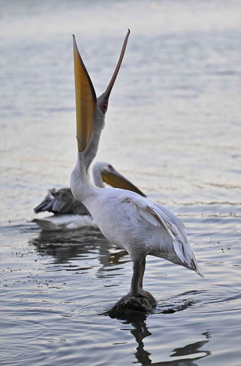 Bursa’nın yaşayan antik kenti: Gölyazı