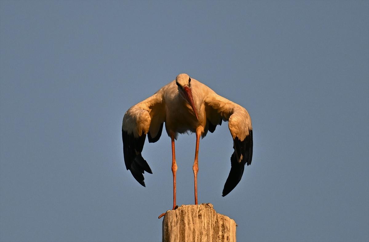 Bursa’nın yaşayan antik kenti: Gölyazı
