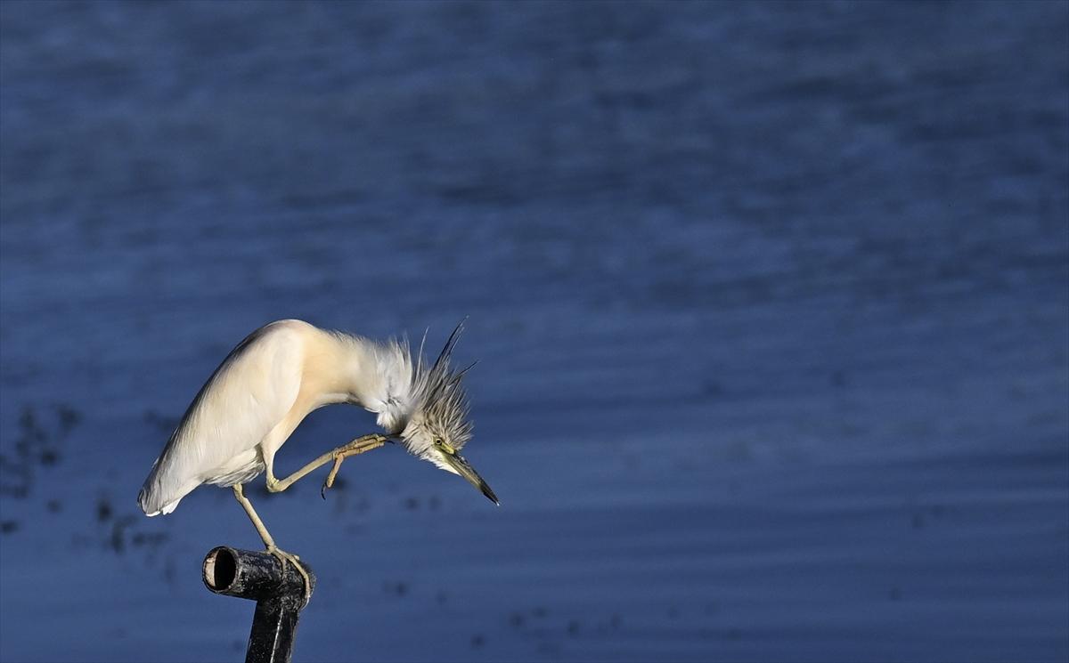 Bursa’nın yaşayan antik kenti: Gölyazı