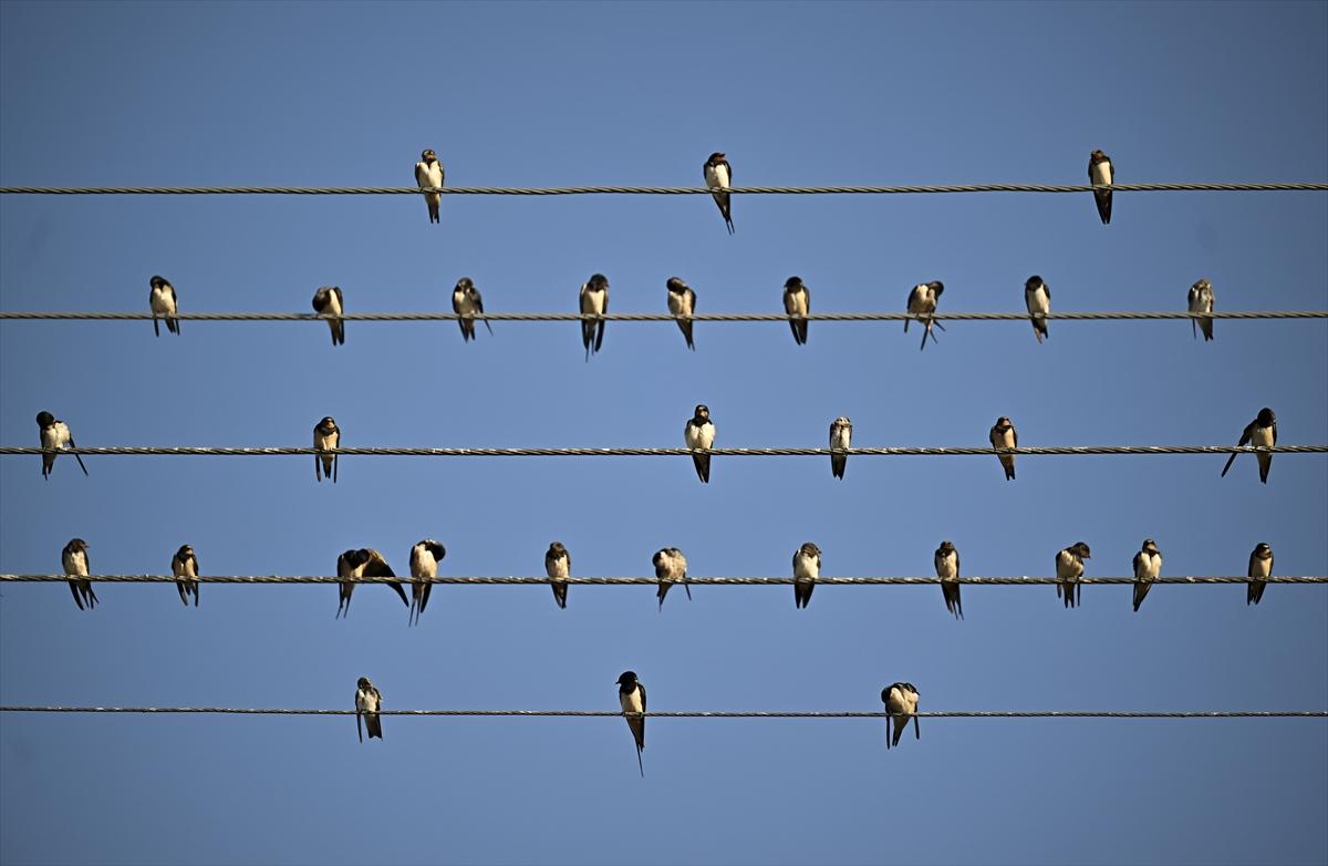 Bursa’nın yaşayan antik kenti: Gölyazı