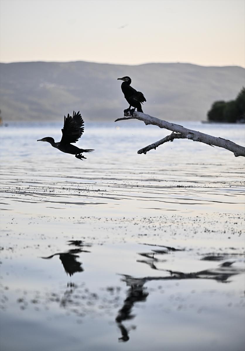 Bursa’nın yaşayan antik kenti: Gölyazı