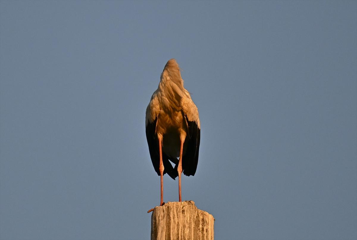 Bursa’nın yaşayan antik kenti: Gölyazı