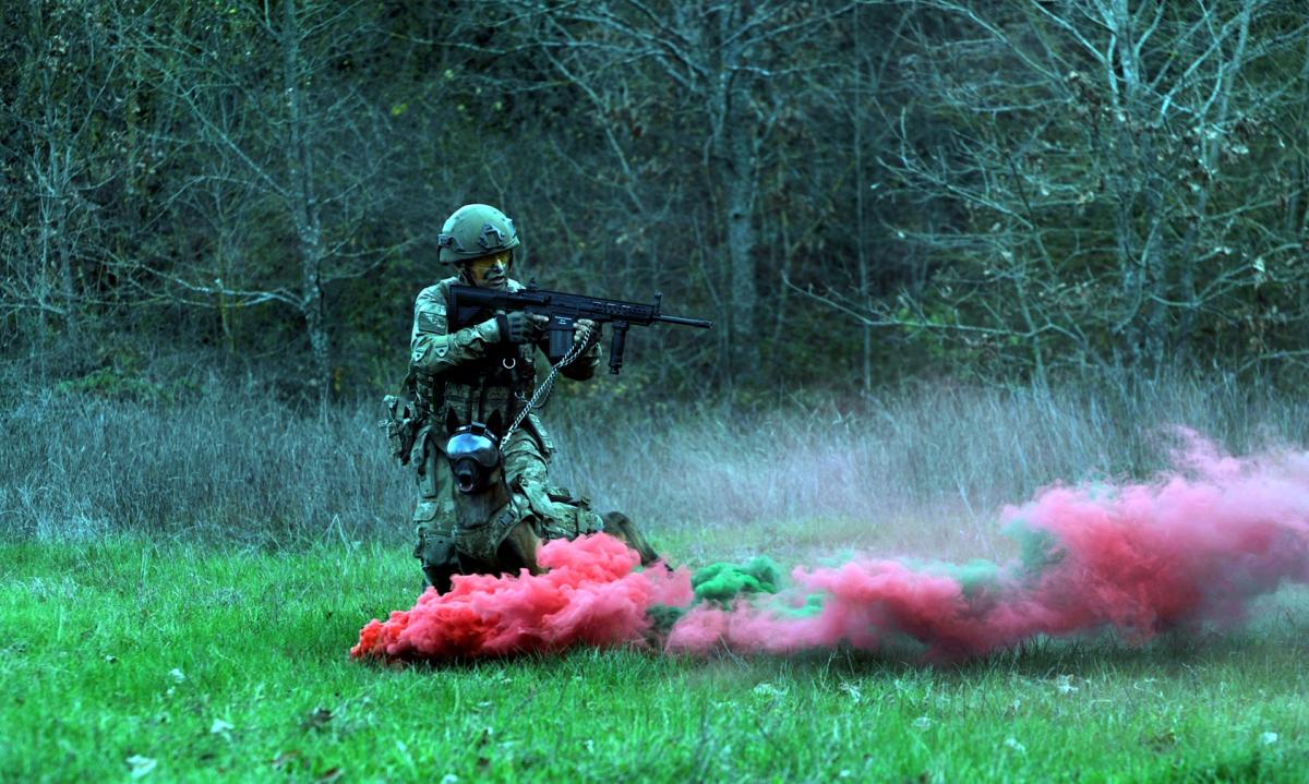 TSK'nın askeri köpekleri için yeni bir sistem geliştirildi