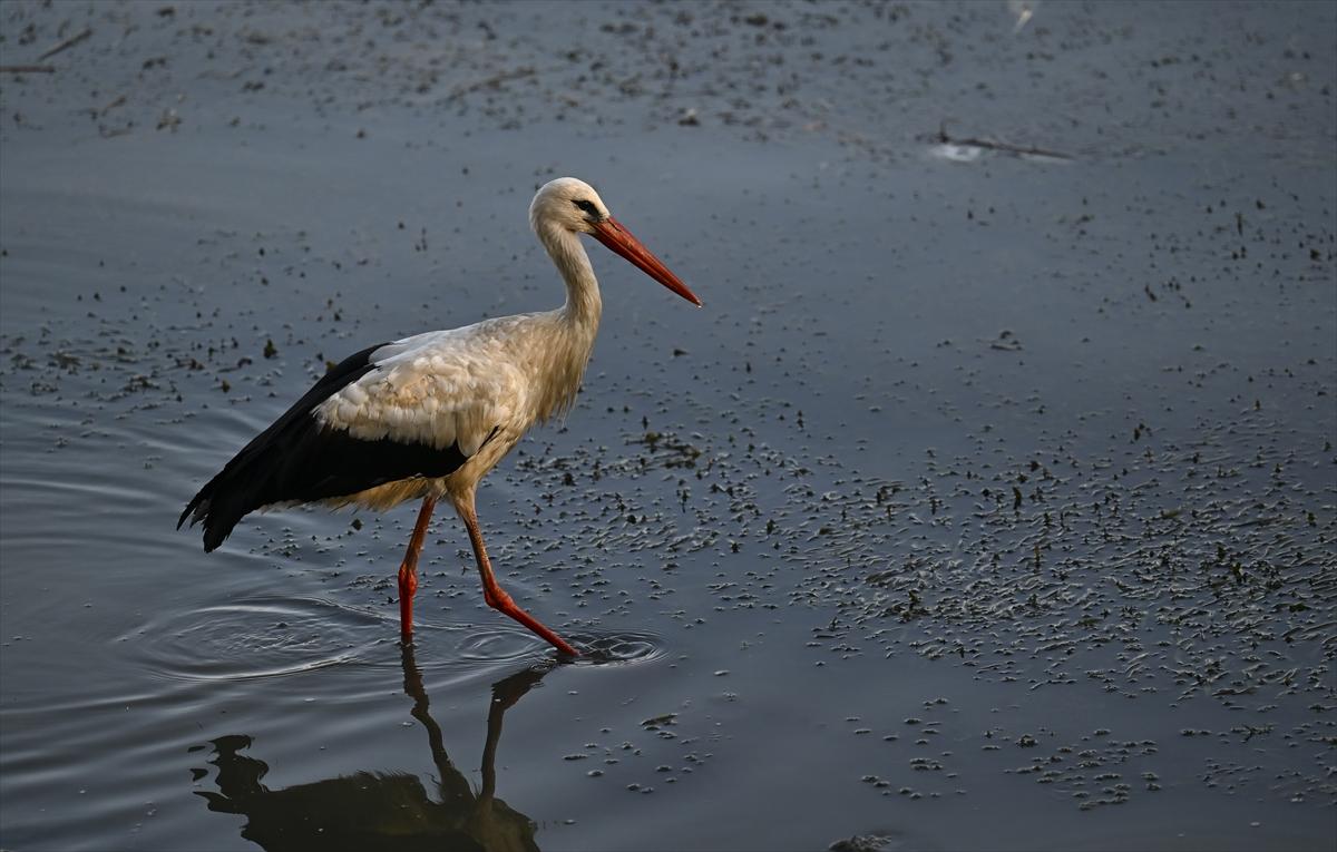 Bursa’nın yaşayan antik kenti: Gölyazı