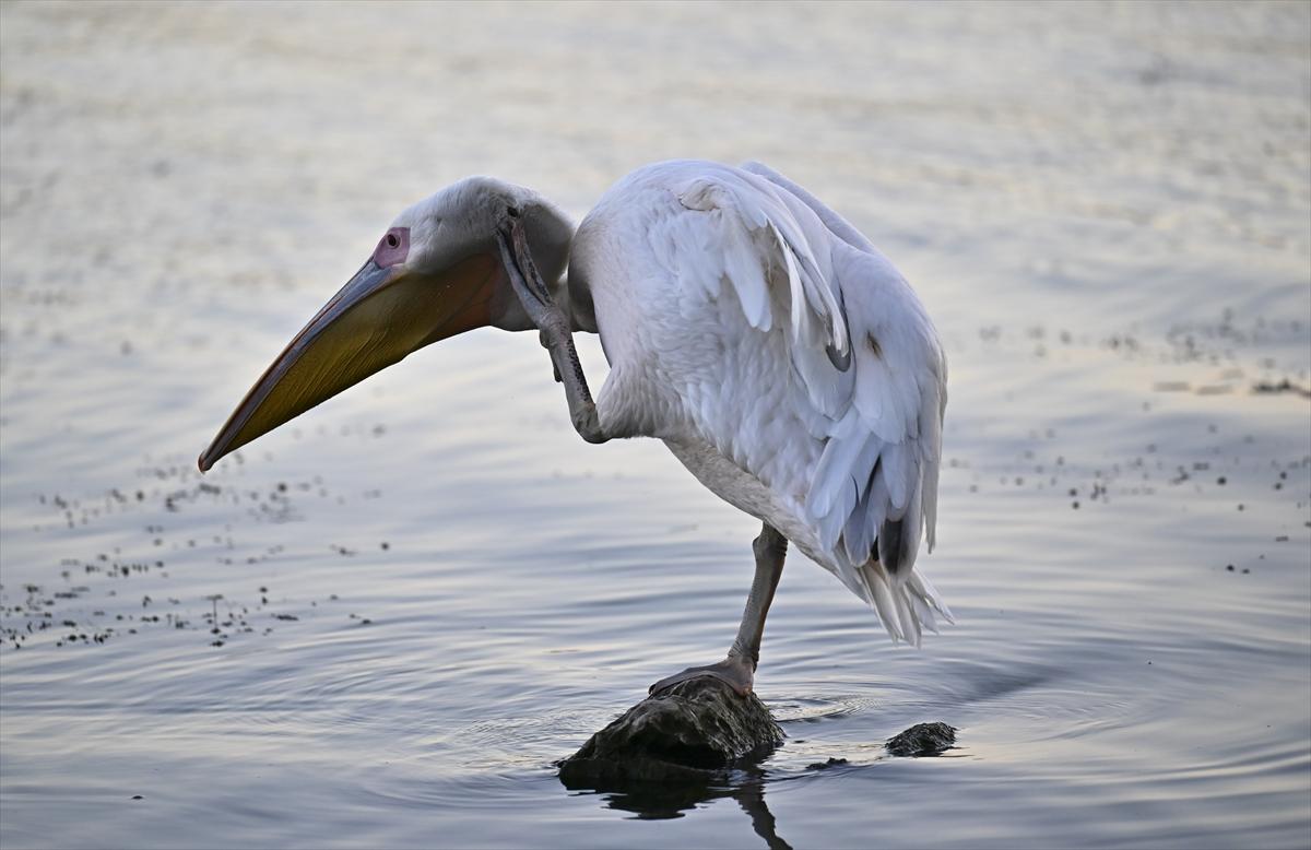 Bursa’nın yaşayan antik kenti: Gölyazı