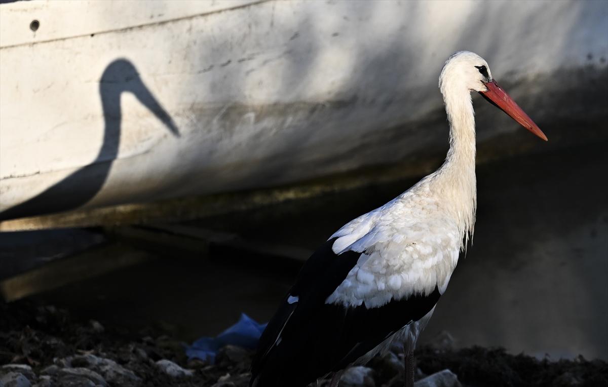 Bursa’nın yaşayan antik kenti: Gölyazı