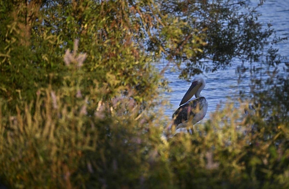 Bursa’nın yaşayan antik kenti: Gölyazı