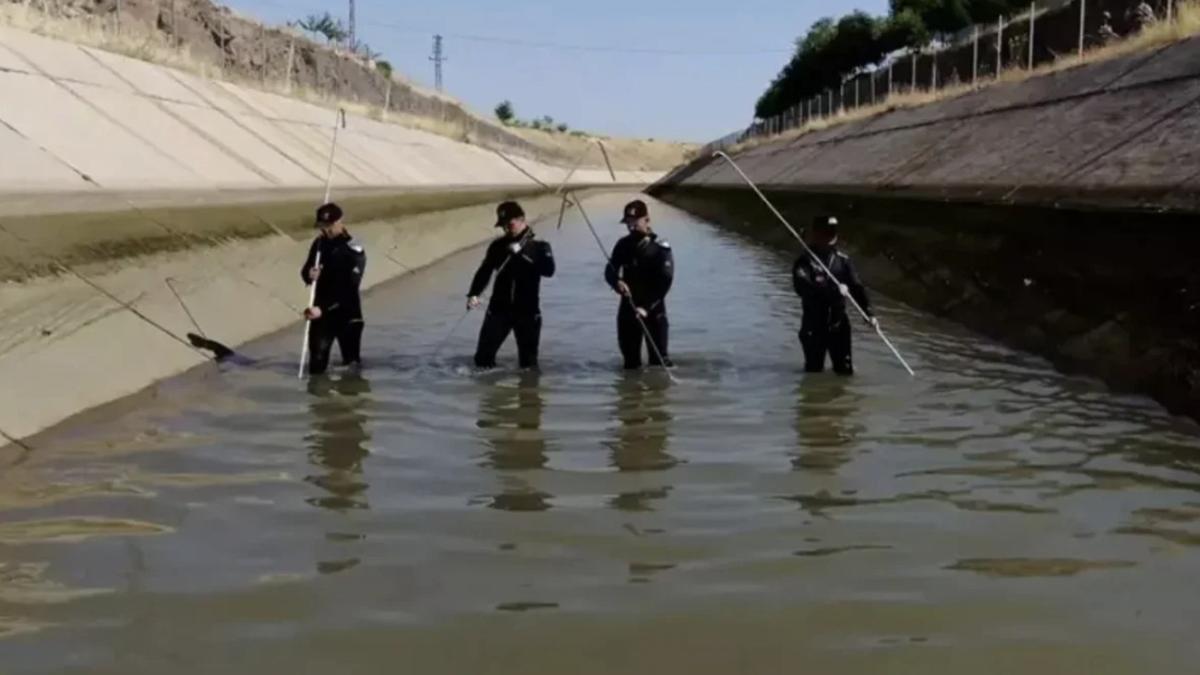 Narin Güran cinayetinde soruşturma genişliyor
