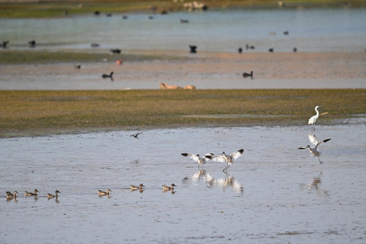 Gaziantep kuşlara ev sahipliği yapıyor