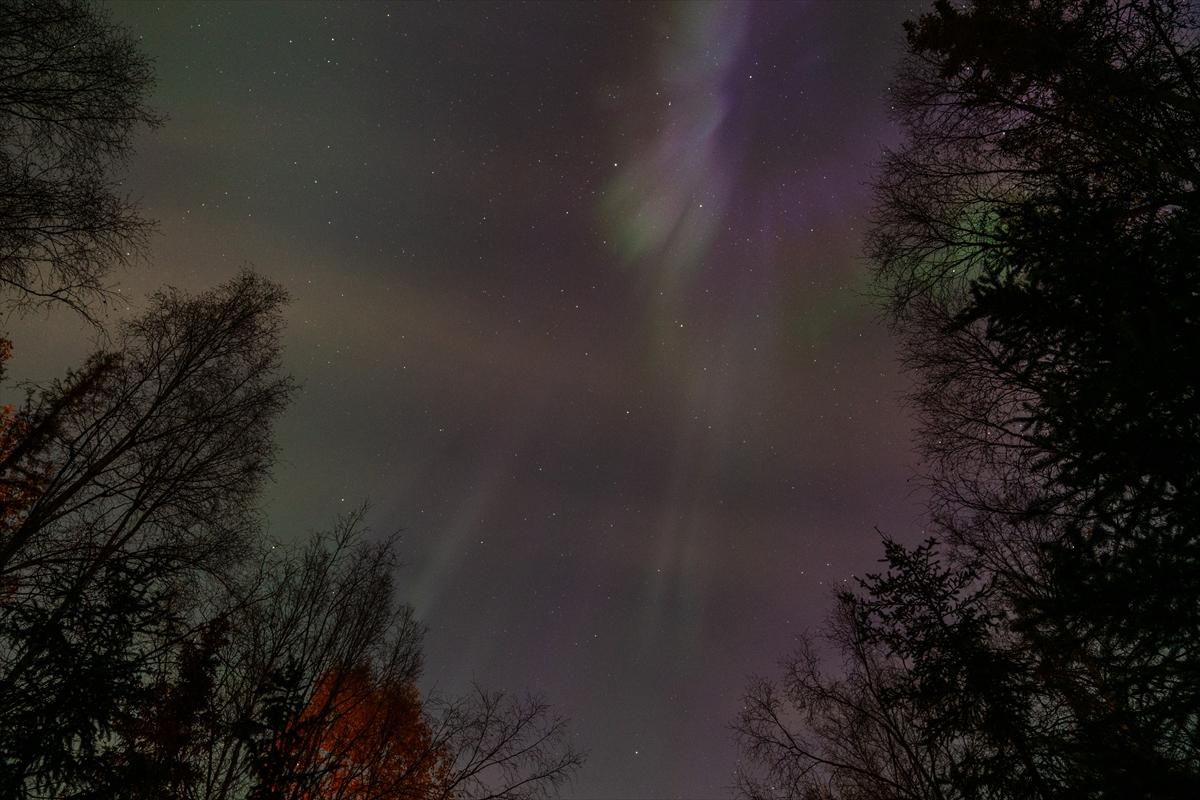 Alaska'da kuzey ışıkları şöleni