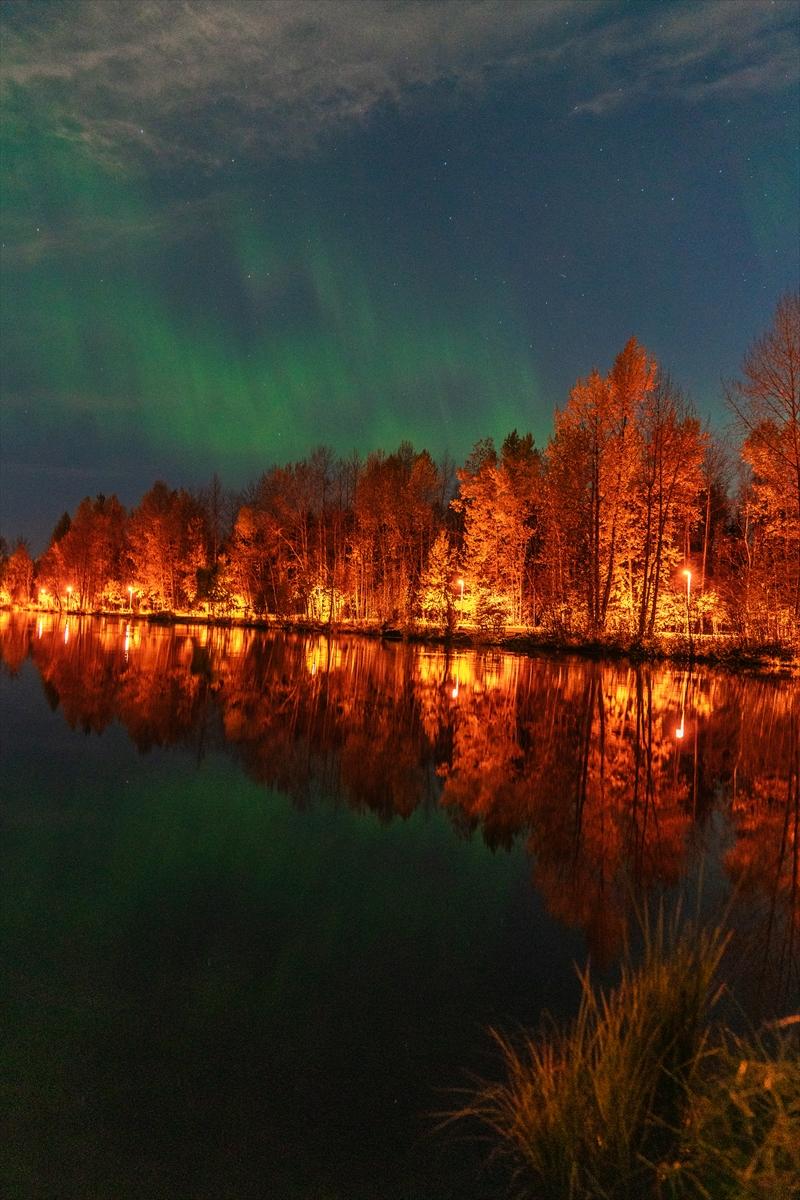Alaska'da kuzey ışıkları şöleni