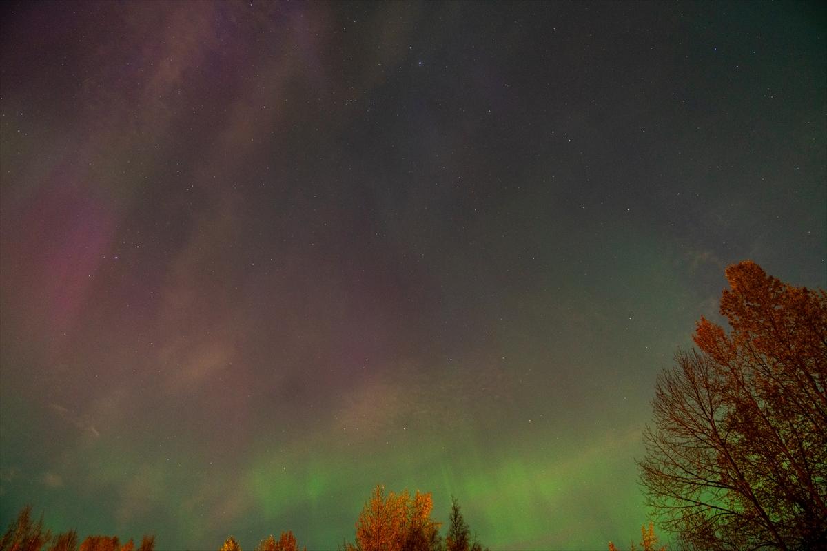 Alaska'da kuzey ışıkları şöleni