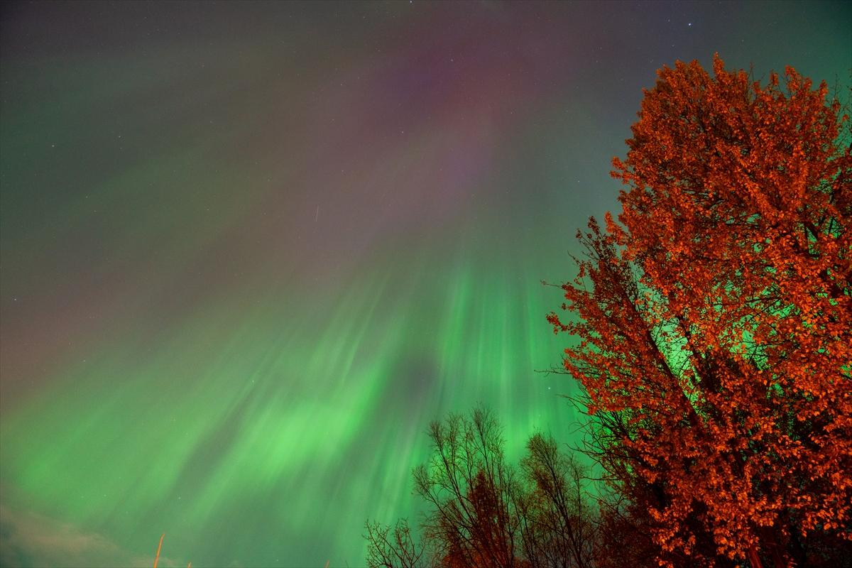 Alaska'da kuzey ışıkları şöleni