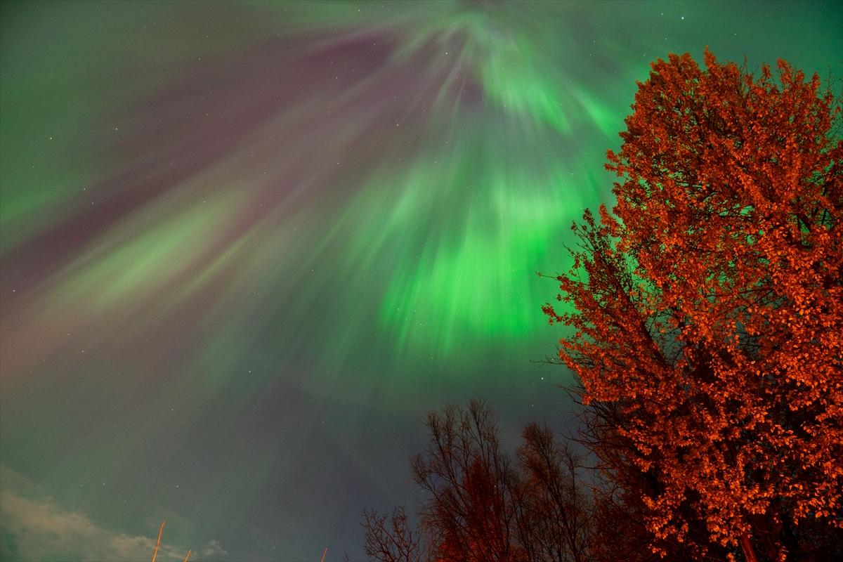 Alaska'da kuzey ışıkları şöleni
