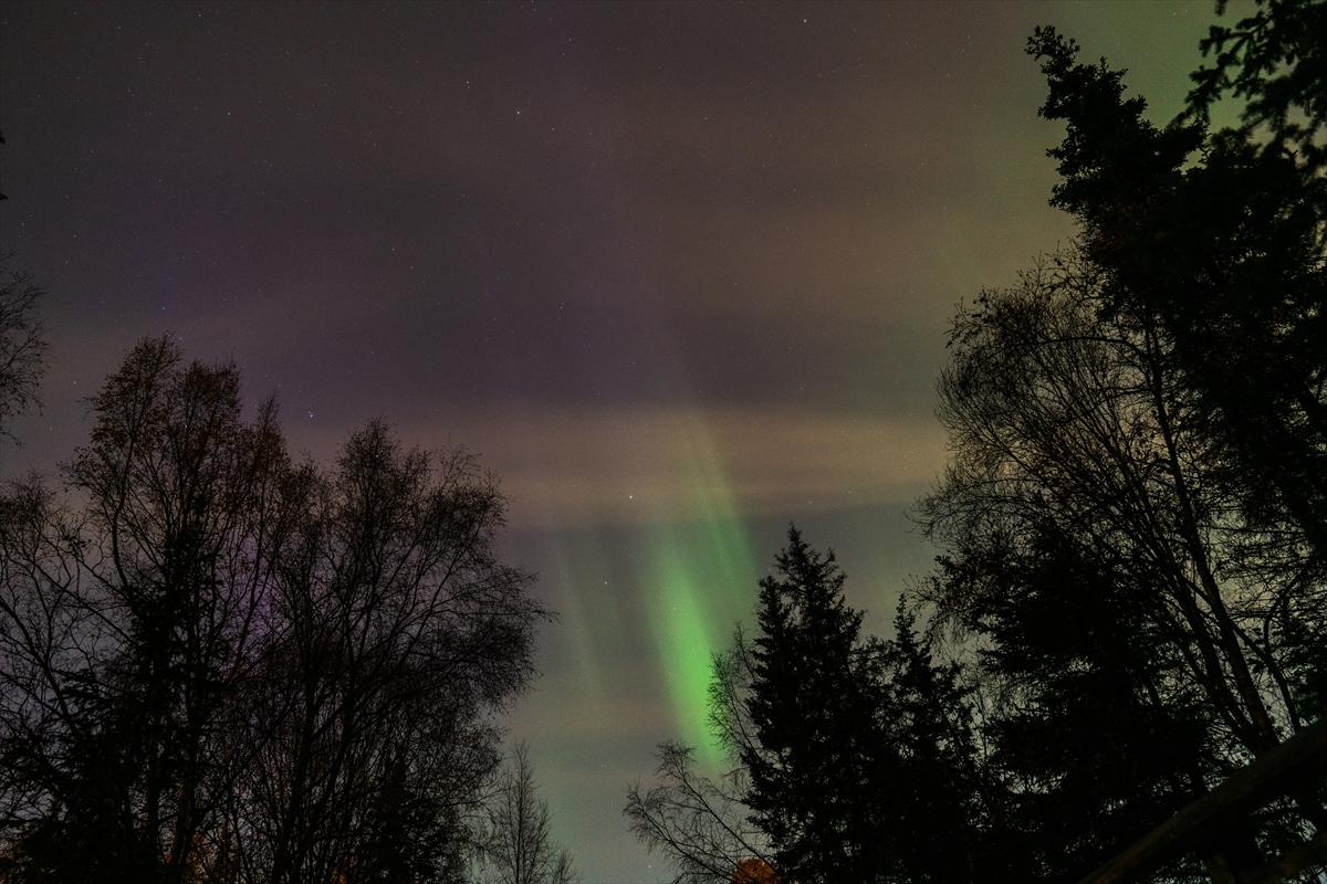 Alaska'da kuzey ışıkları şöleni