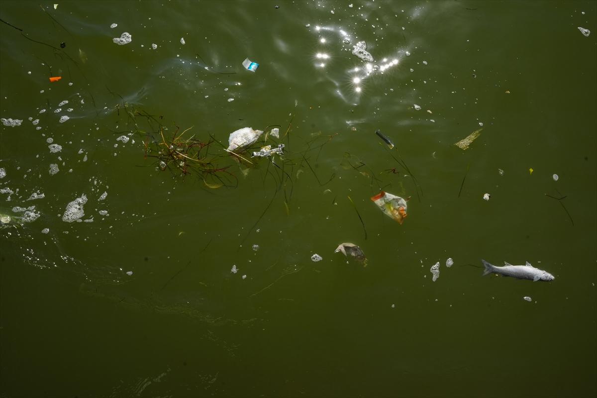 İzmir Körfezi'nin temizlenmesi için ilk adım atıldı